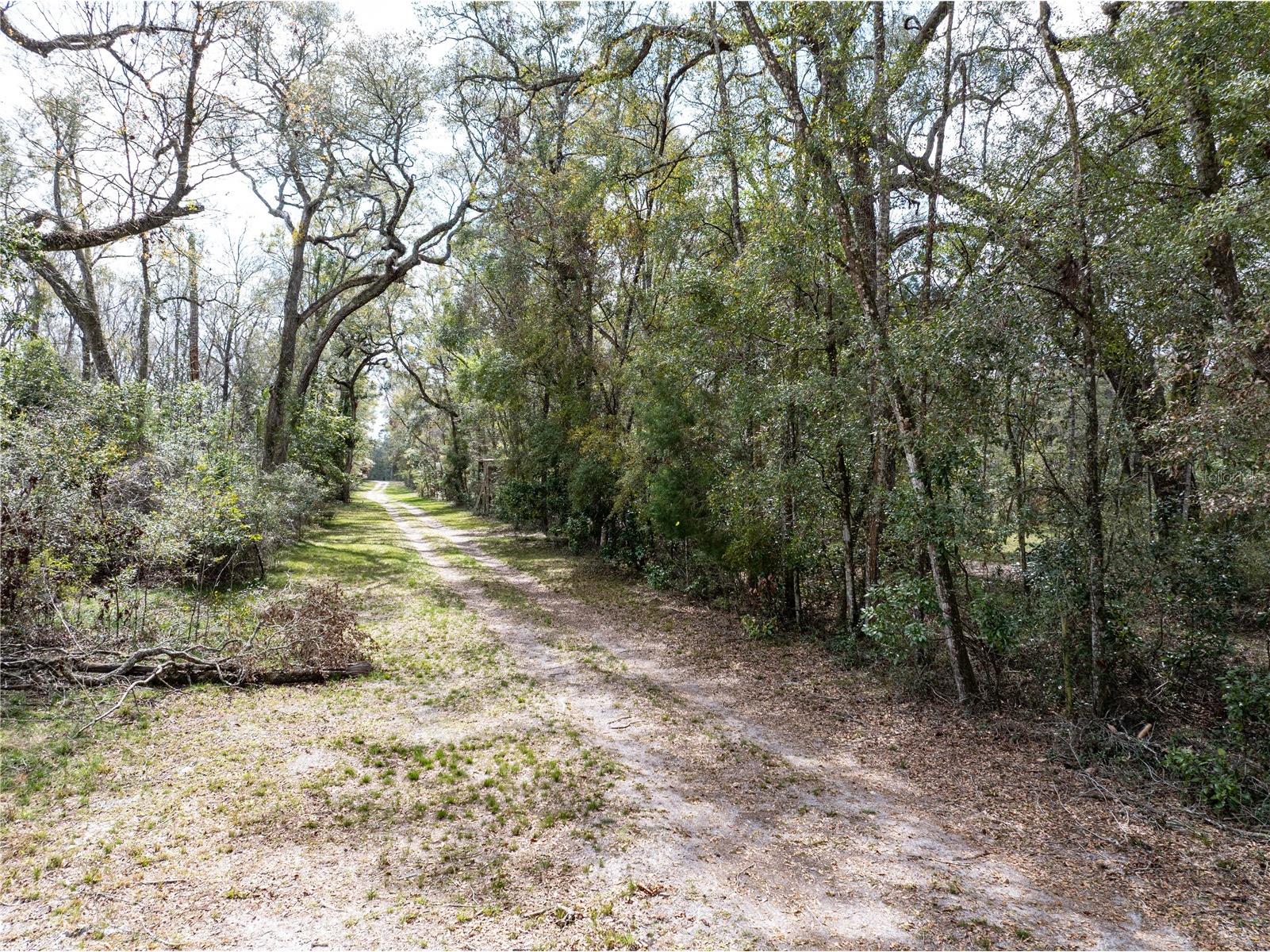 0 65th Place A Branford FL 32008 - SANTA FE RIVER GC538421 image13