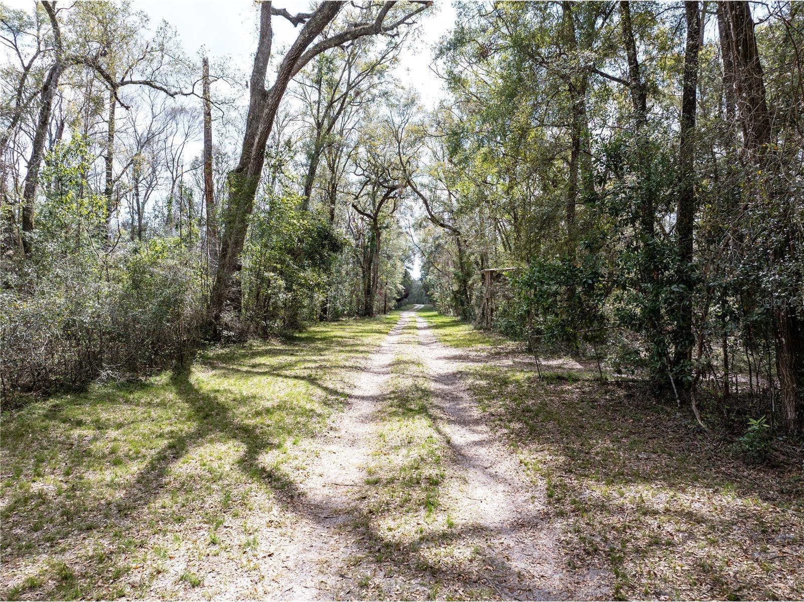 0 65th Place A Branford FL 32008 - SANTA FE RIVER GC538421 image14