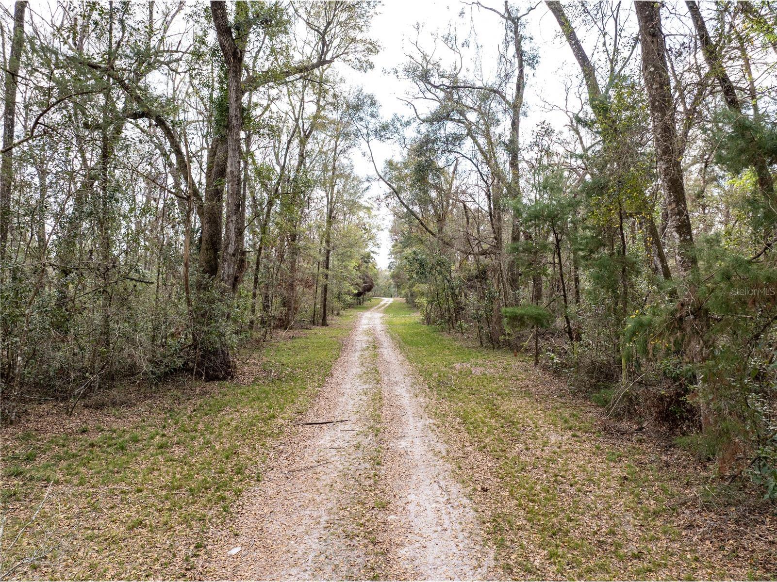 0 65th Place A Branford FL 32008 - SANTA FE RIVER GC538421 image15