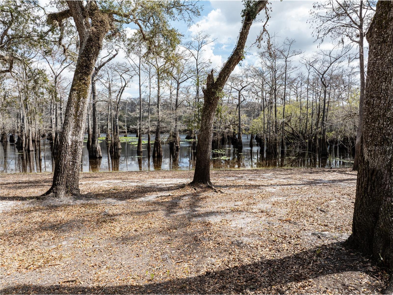 0 65th Place A Branford FL 32008 - SANTA FE RIVER GC538421 image33
