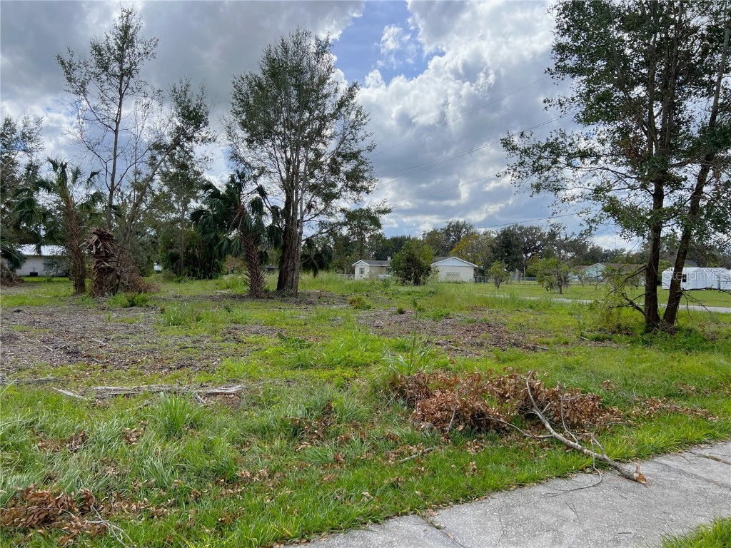0 6th Street NE Fort Meade FL 33841 U8194322 image1