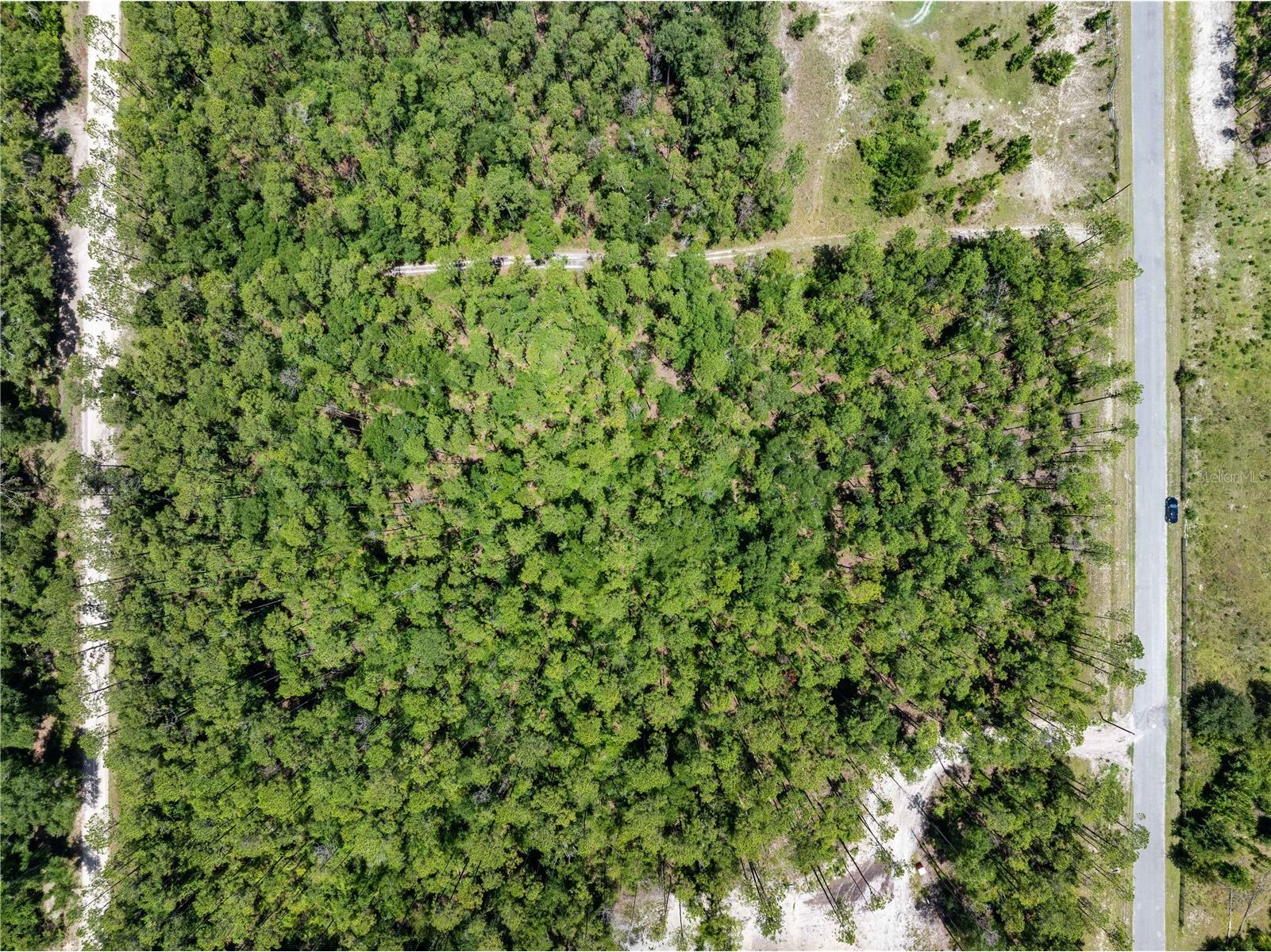 0 71st Lane O'Brien FL 32071 GC541846 image27