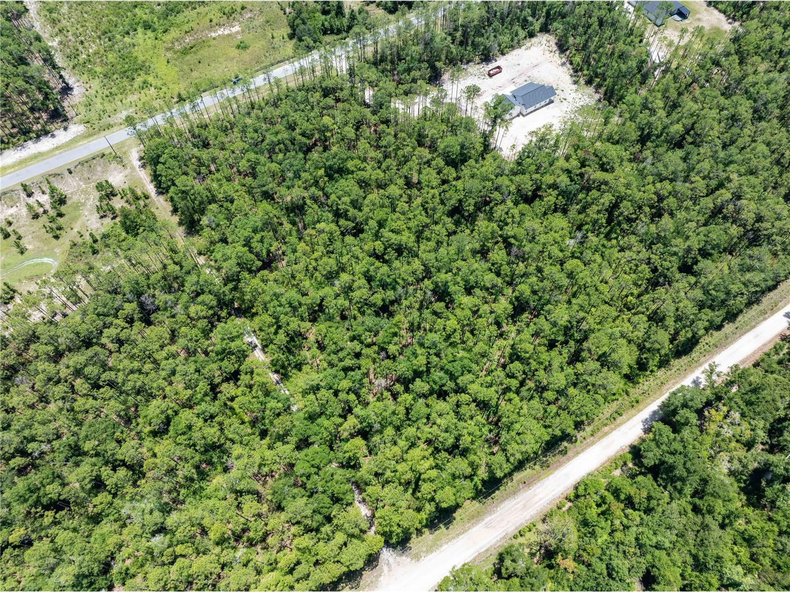 0 71st Lane O'Brien FL 32071 GC541846 image34