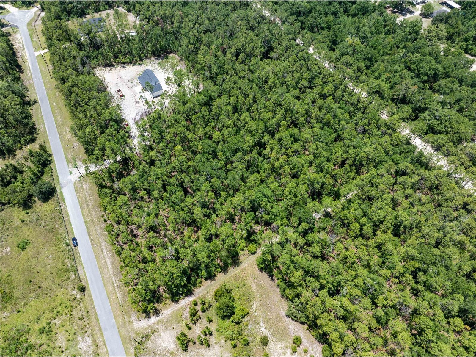 0 71st Lane O'Brien FL 32071 GC541846 image35