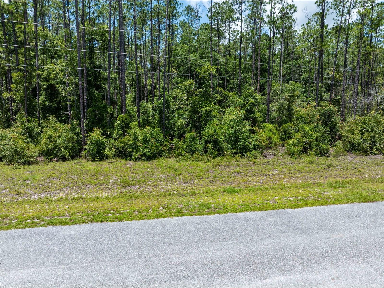 0 71st Lane O'Brien FL 32071 GC541846 image38