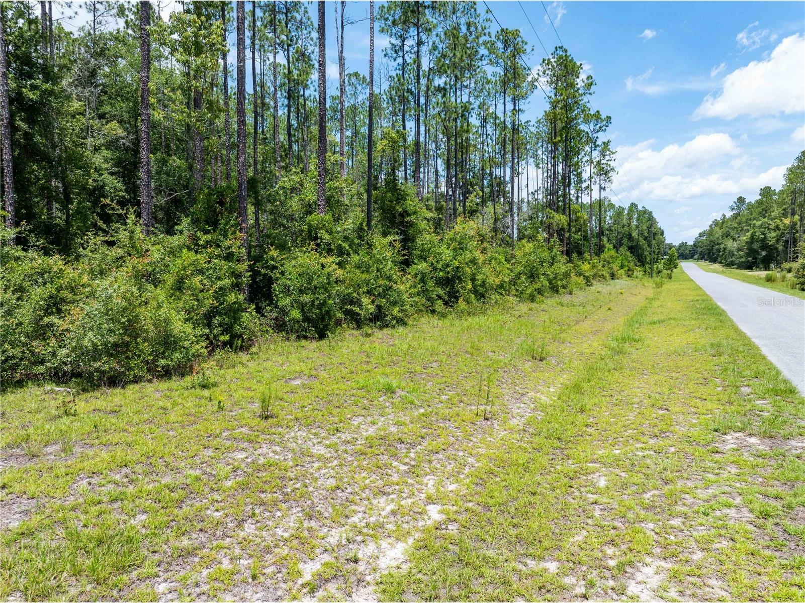 0 71st Lane O'Brien FL 32071 GC541846 image39