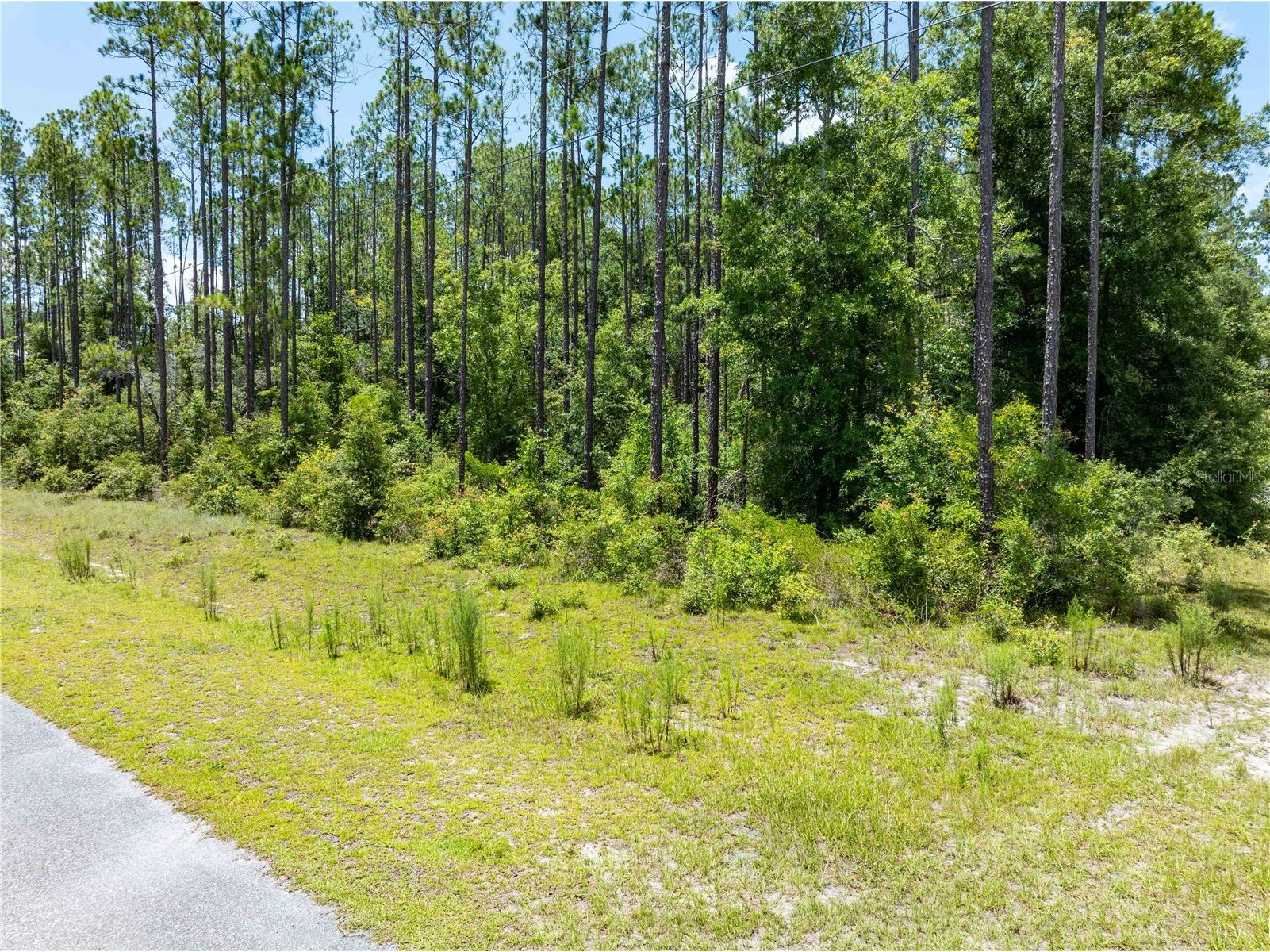 0 71st Lane O'Brien FL 32071 GC541846 image40