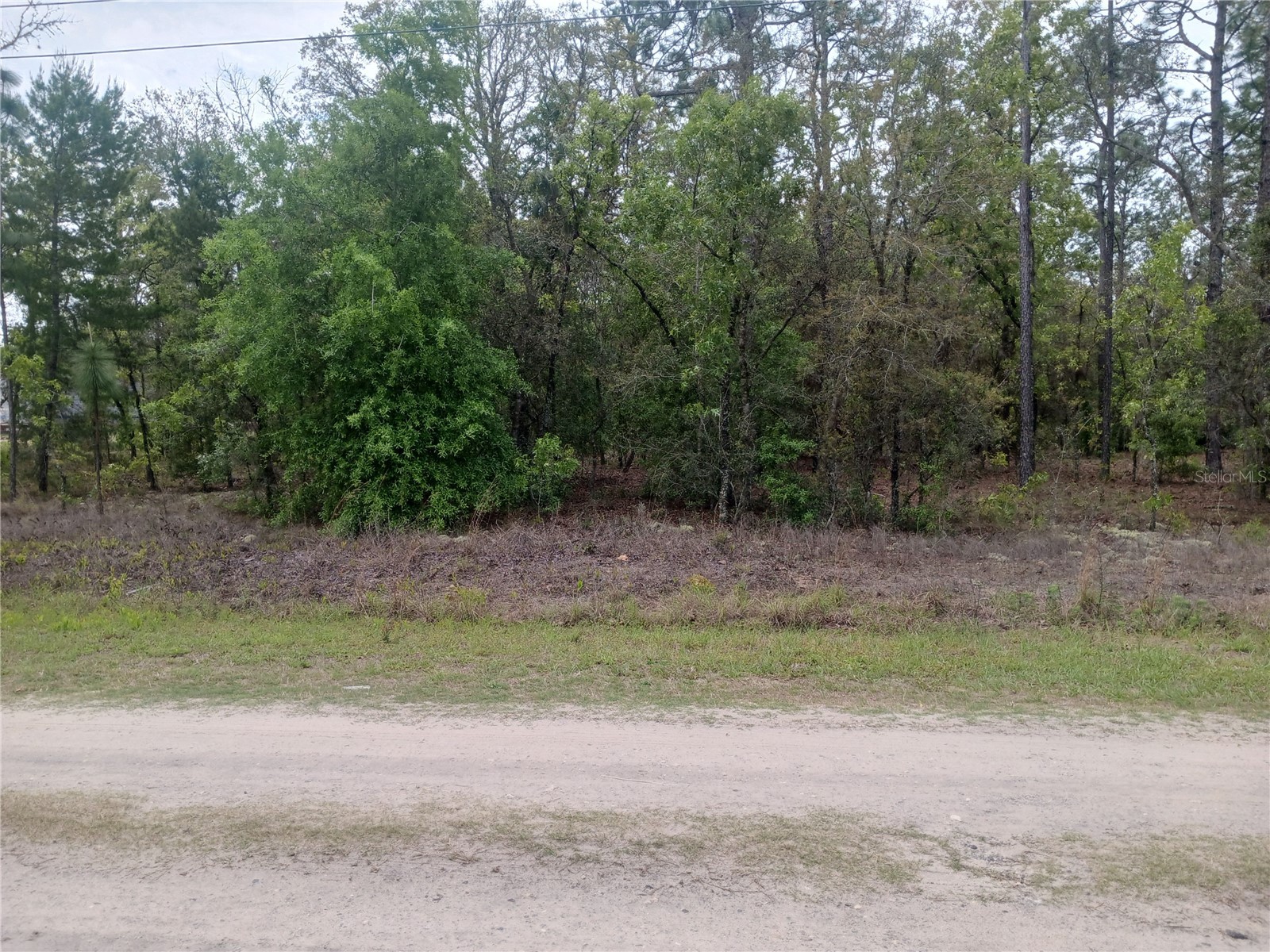 0 71st Lane Ocala FL 34481 G5110969 image1