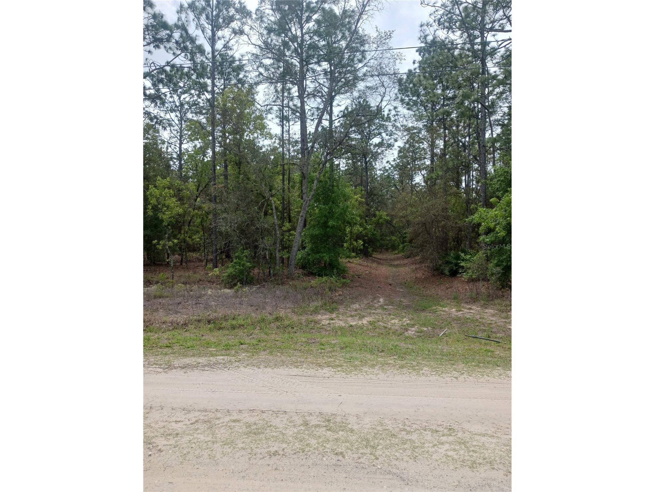 0 71st Lane Ocala FL 34481 G5110969 image3