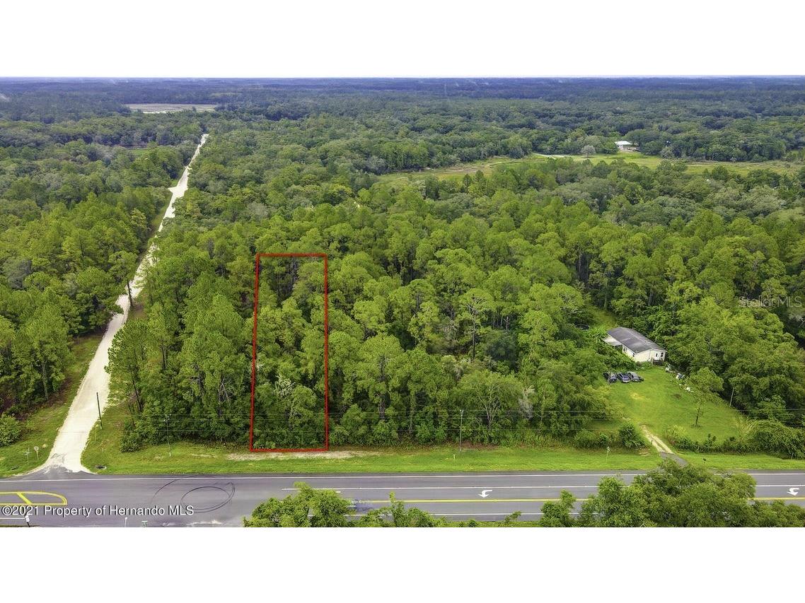 0 (7374) Treiman Boulevard Webster FL 33597 W7859145 image1