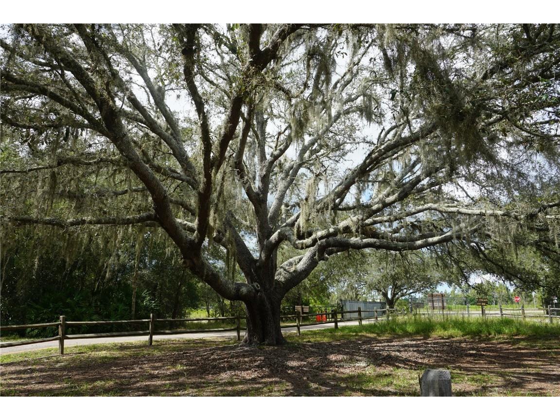 0 74th Avenue N Pinellas Park FL 33781 TB8351416 image1