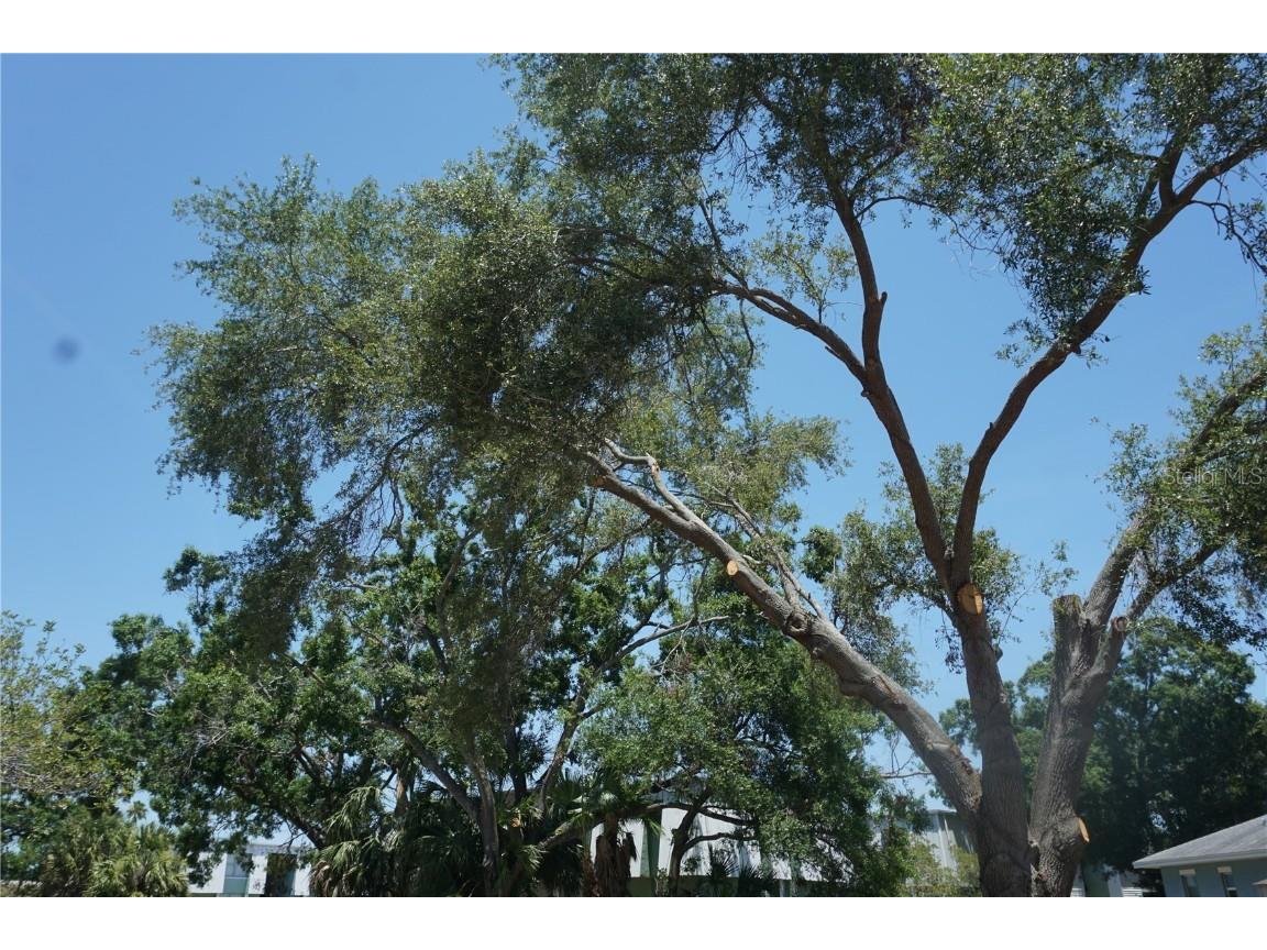 0 74th Avenue N Pinellas Park FL 33781 TB8351416 image13