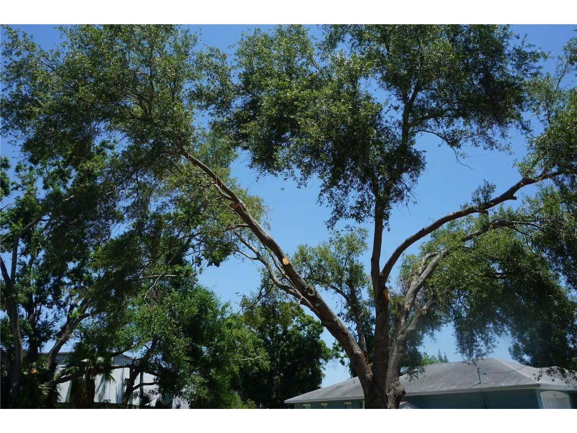 0 74th Avenue N Pinellas Park FL 33781 TB8351416 image7