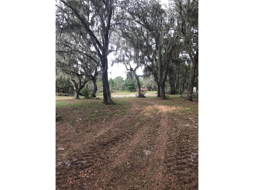 0 80 Foot Road Bartow FL 33830 B4902065 image3
