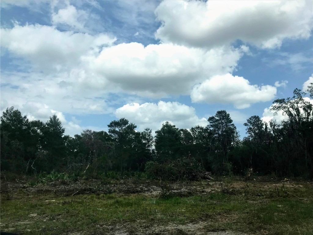 0 80 Foot Road Bartow FL 33830 B4902065 image4