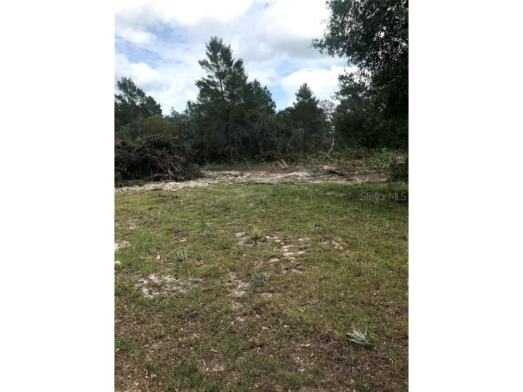 0 80 Foot Road Bartow FL 33830 B4902065 image5