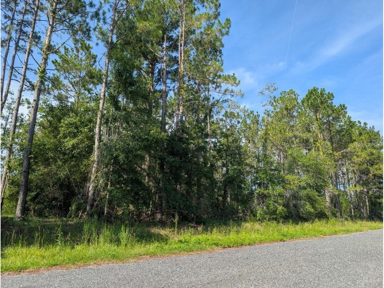 0 88th Trail Live Oak FL 32060 A4678401 image4