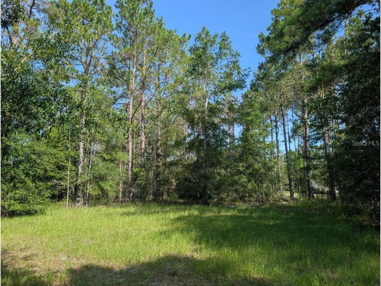 0 88th Trail Live Oak FL 32060 A4678401 image6