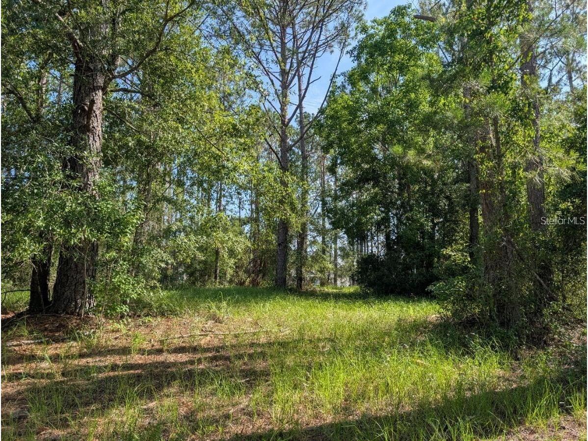 0 88th Trail Live Oak FL 32060 A4678401 image8