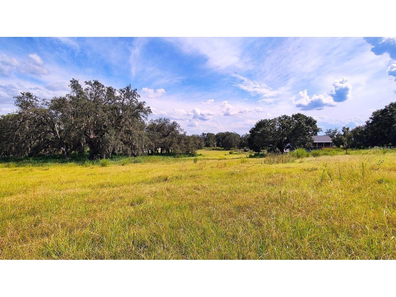 0 A D May Road Dade City FL 33523 TB8359048 image14