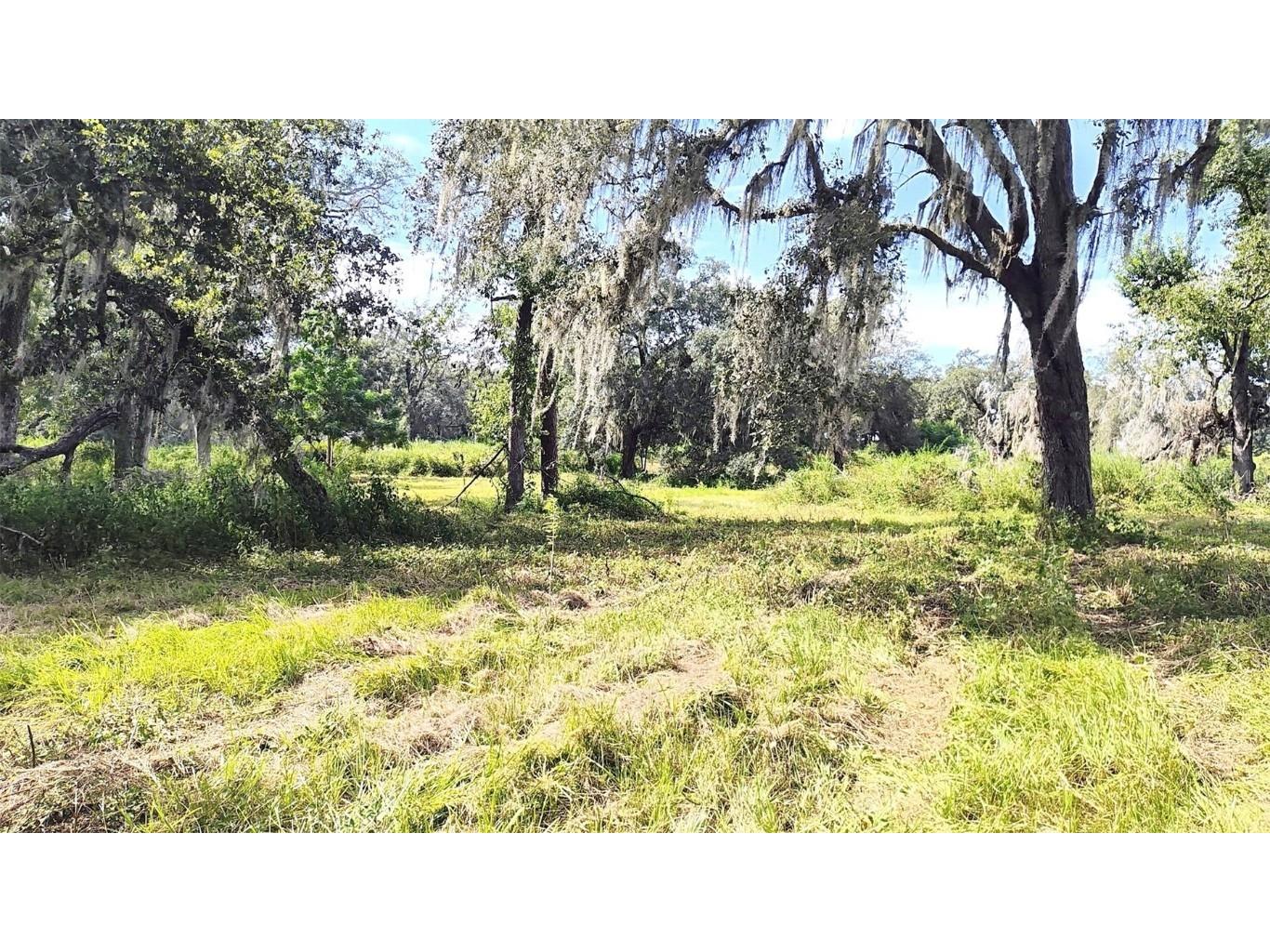 0 A D May Road Dade City FL 33523 TB8359048 image17