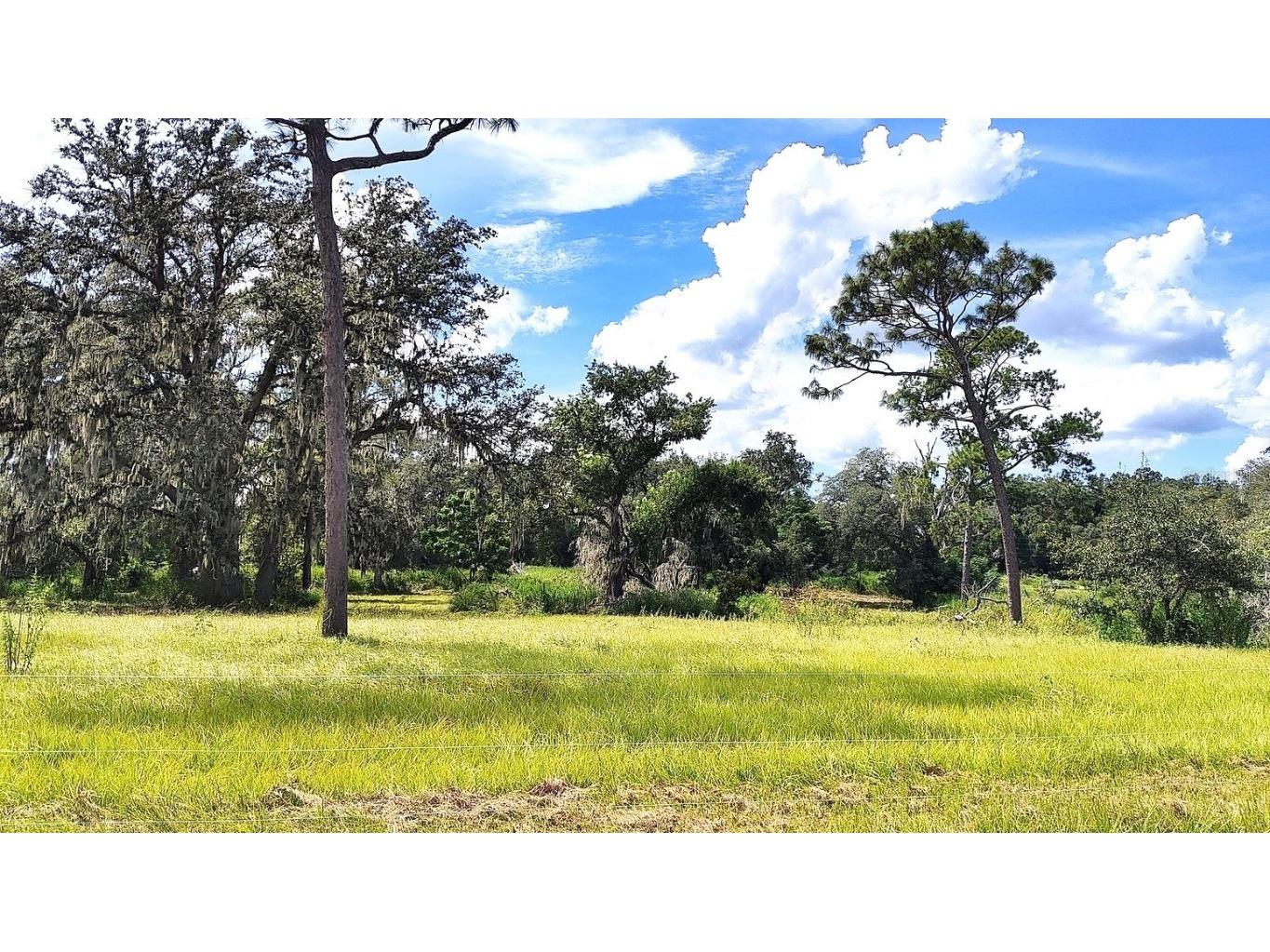 0 A D May Road Dade City FL 33523 TB8359048 image18