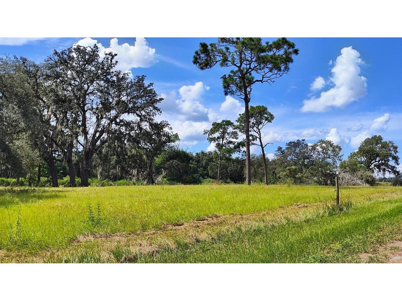 0 A D May Road Dade City FL 33523 TB8359048 image19