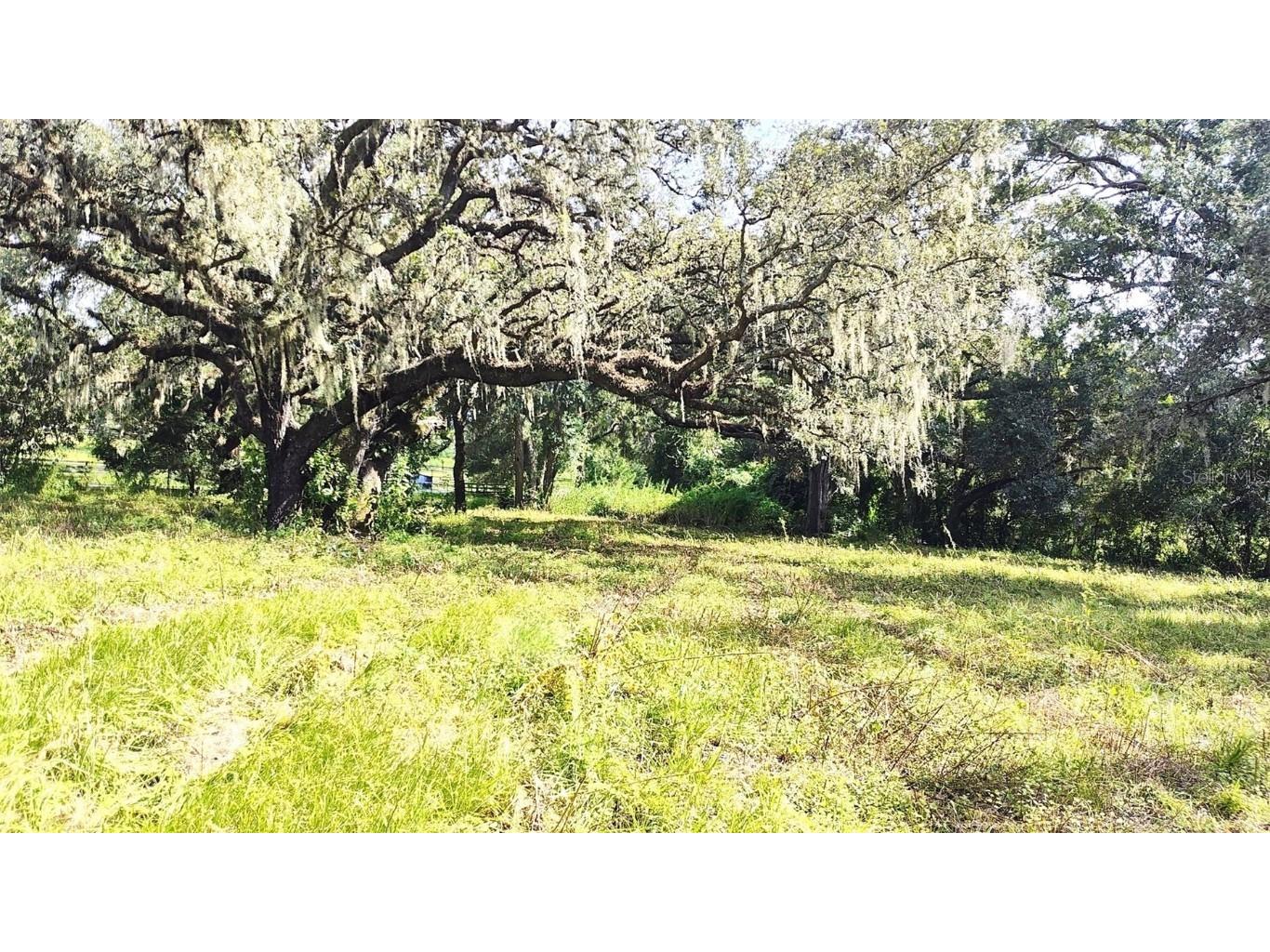 0 A D May Road Dade City FL 33523 TB8359048 image20