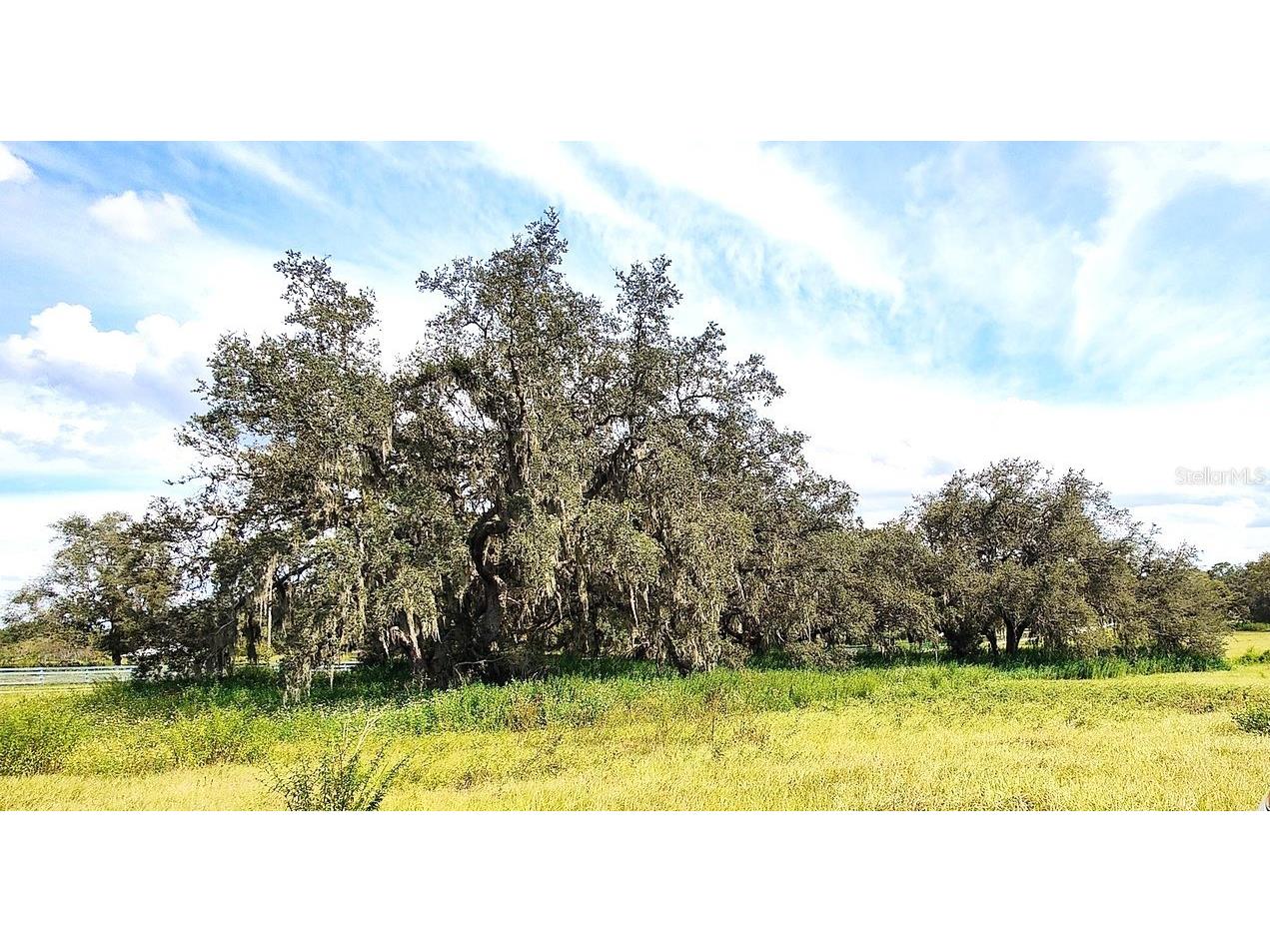 0 A D May Road Dade City FL 33523 TB8359048 image8