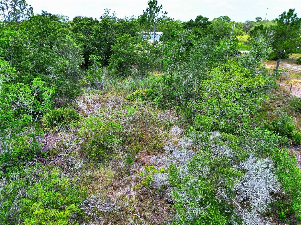 0 Allison Avenue Lake Wales FL 33859 L4953773 image10