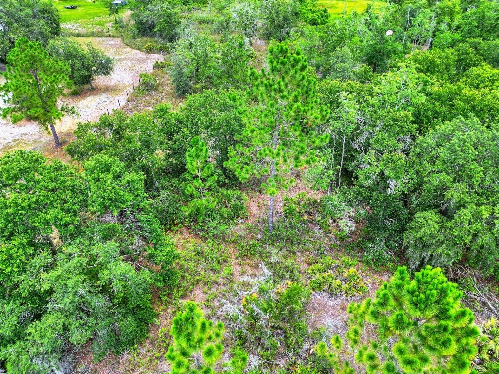 0 Allison Avenue Lake Wales FL 33859 L4953773 image11