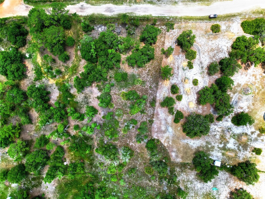 0 Allison Avenue Lake Wales FL 33859 L4953773 image8