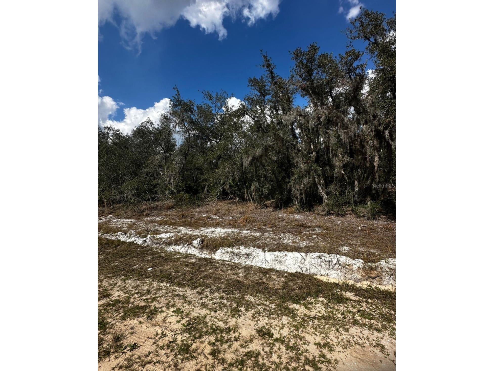 0 Allison Avenue Lake Wales FL 33859 TB8349762 image1