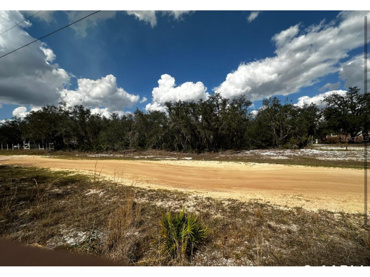 0 Allison Avenue Lake Wales FL 33859 TB8349762 image2