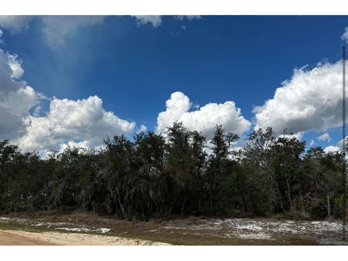 0 Allison Avenue Lake Wales FL 33859 TB8349762 image3