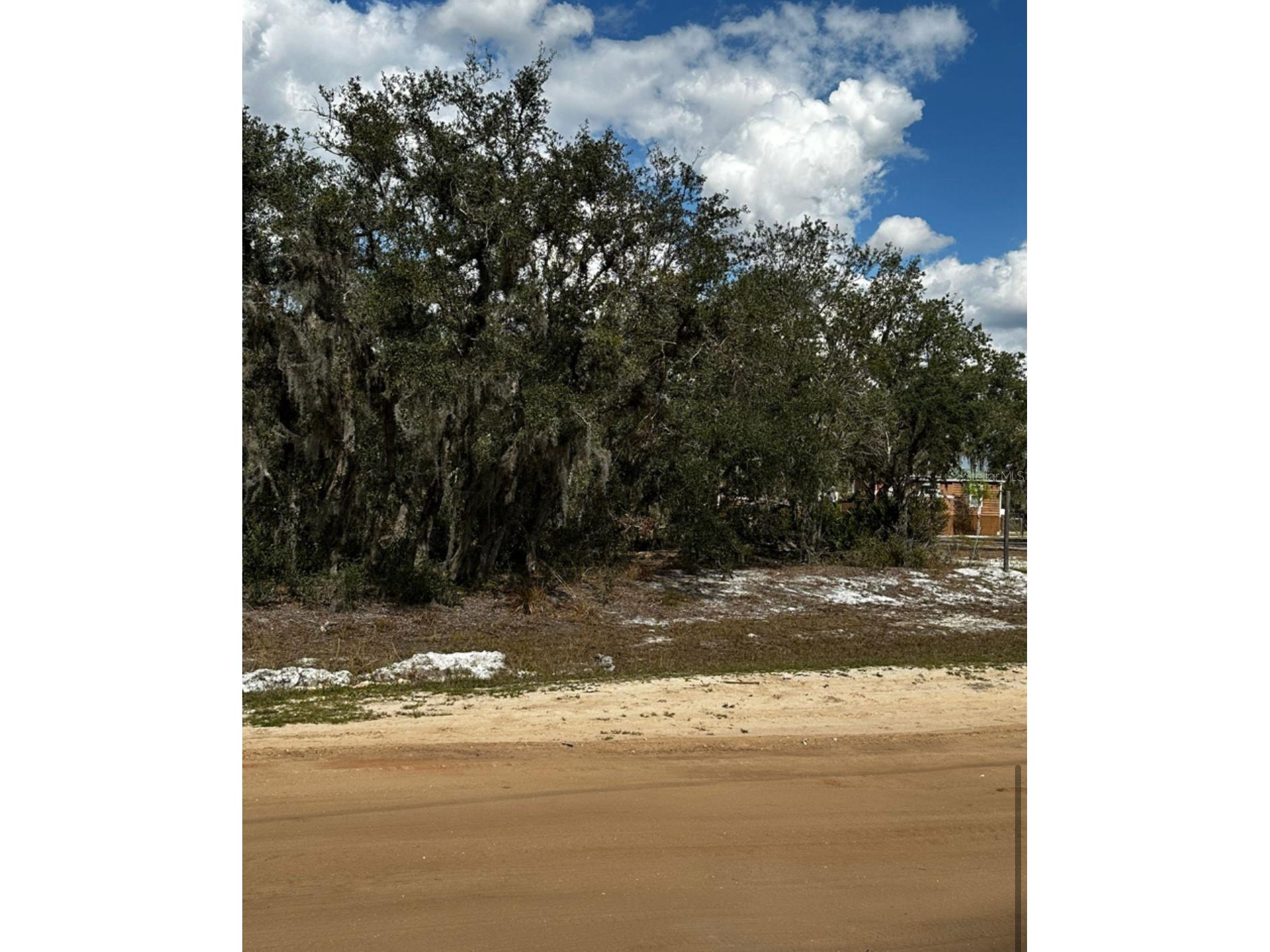 0 Allison Avenue Lake Wales FL 33859 TB8349762 image5