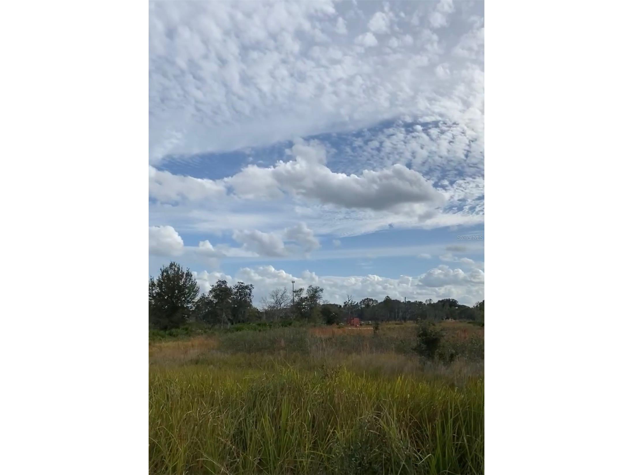 0 Allison Avenue Lake Wales FL 33859 TB8498742 image4