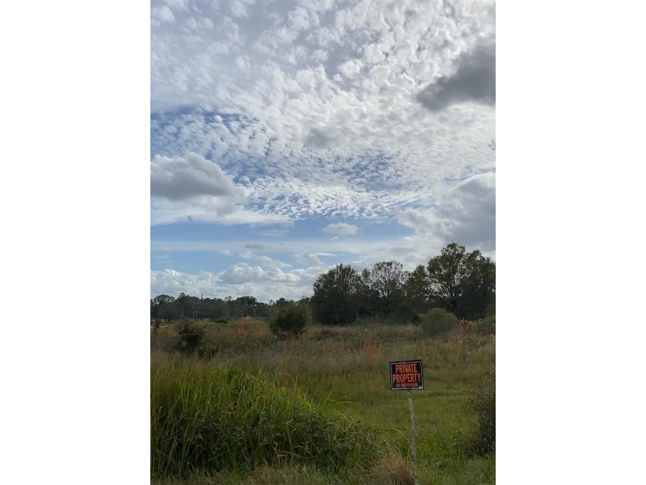 0 Allison Avenue Lake Wales FL 33859 TB8498742 image5