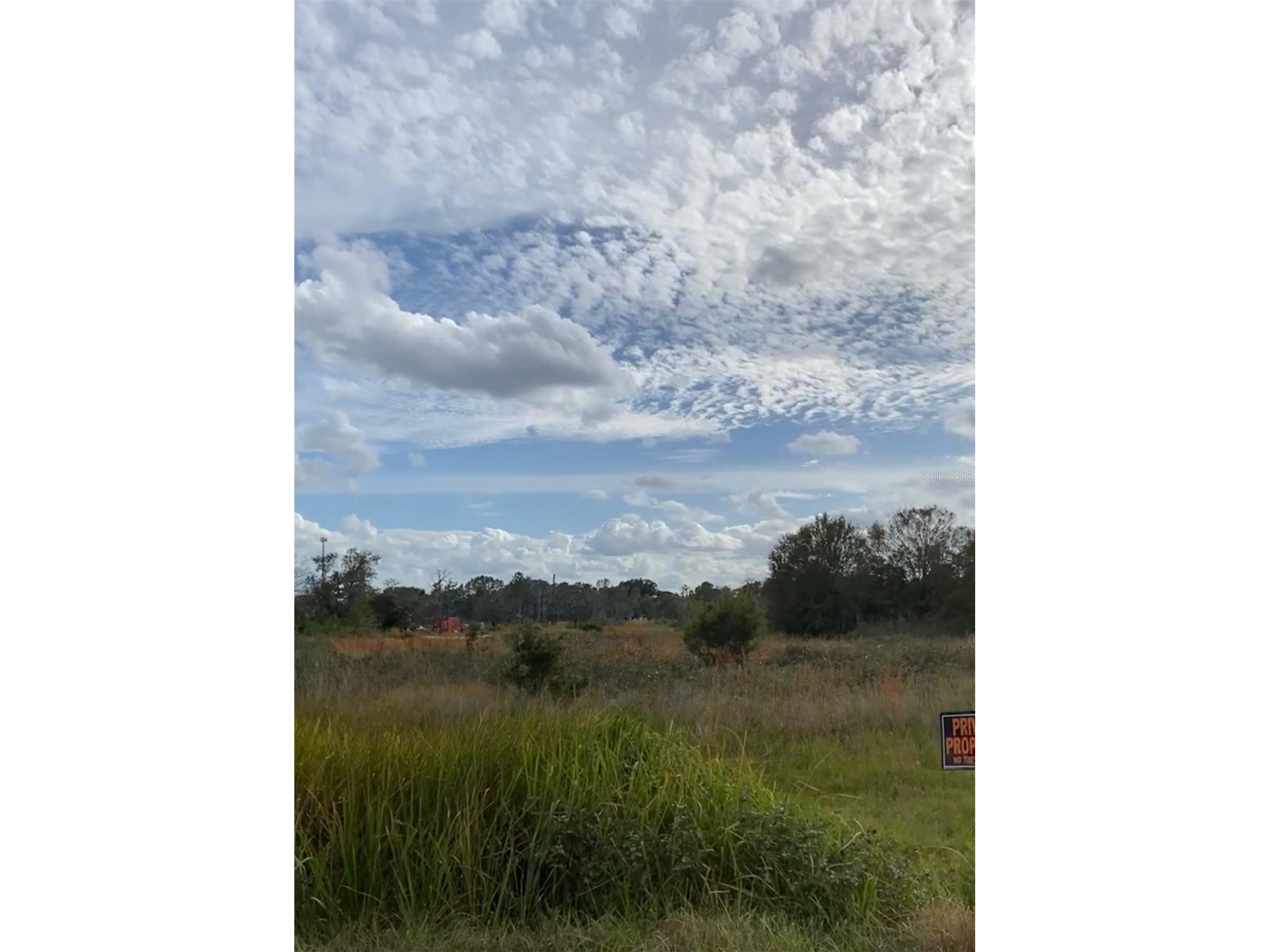0 Allison Avenue Lake Wales FL 33859 TB8498742 image6