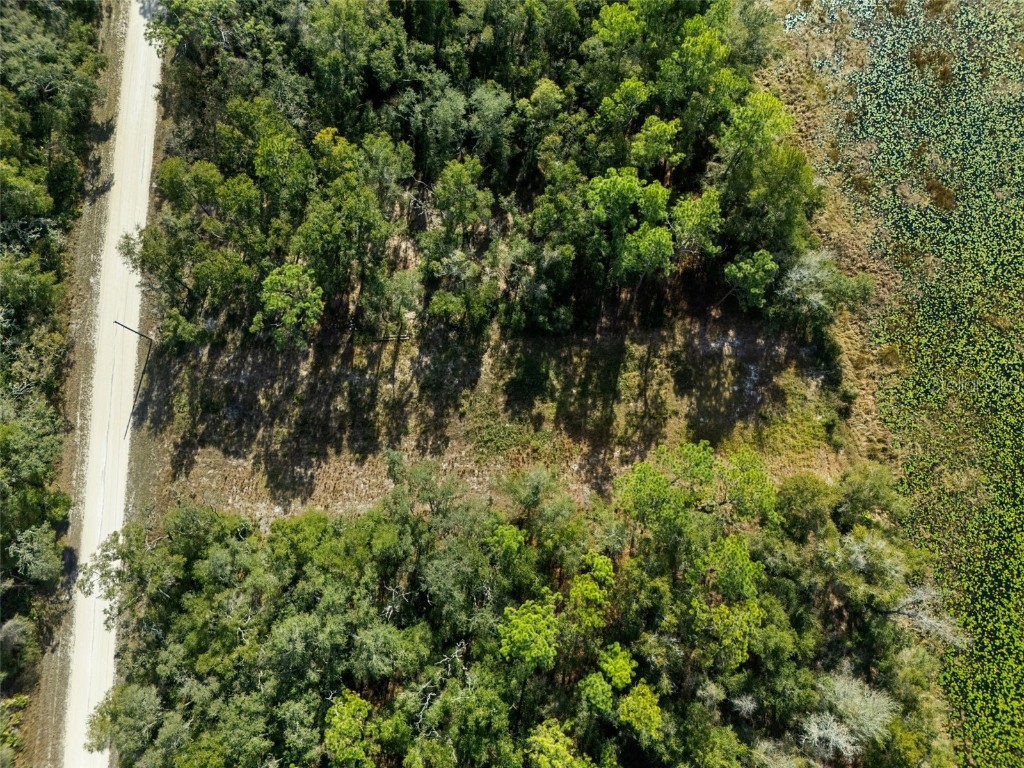 0 Alloy Street Webster FL 33597 W7881610 image10