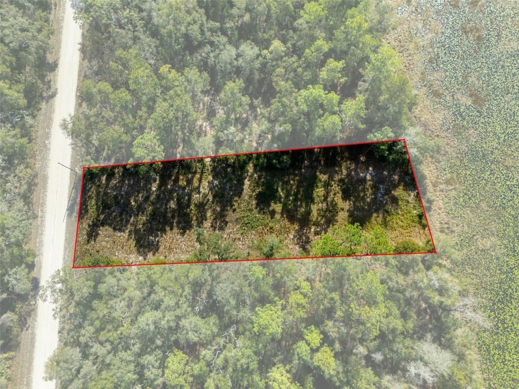 0 Alloy Street Webster FL 33597 W7881610 image11