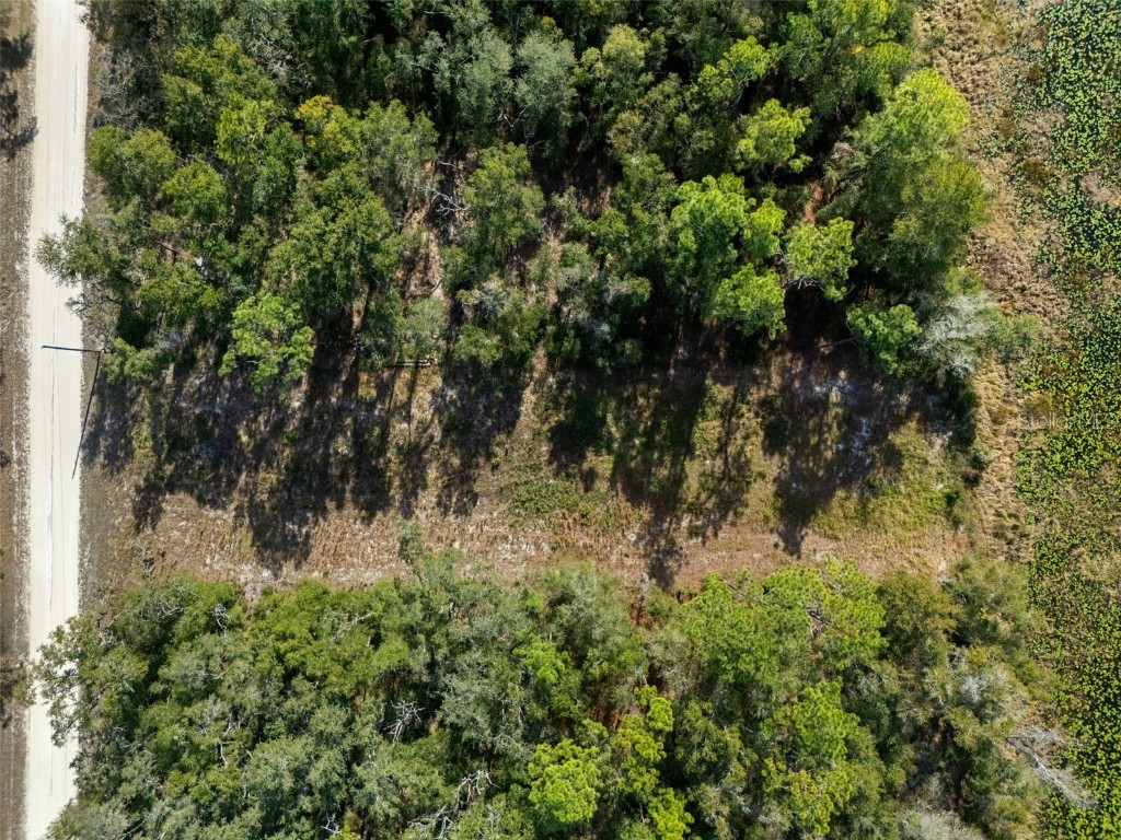 0 Alloy Street Webster FL 33597 W7881610 image12