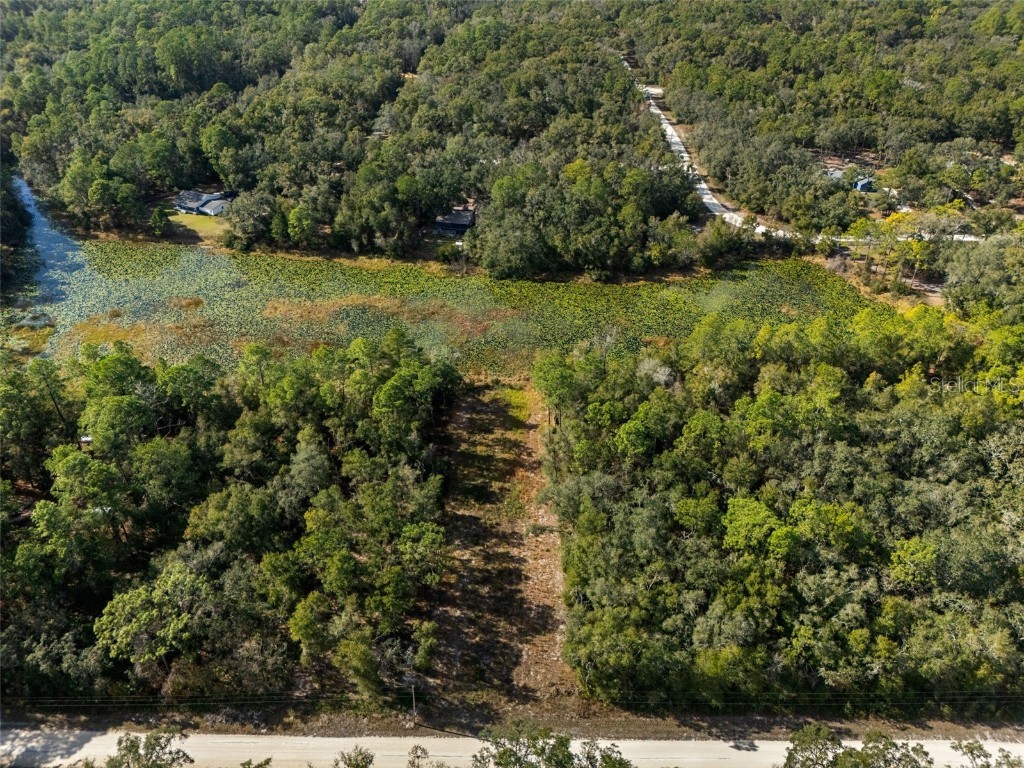 0 Alloy Street Webster FL 33597 W7881610 image13