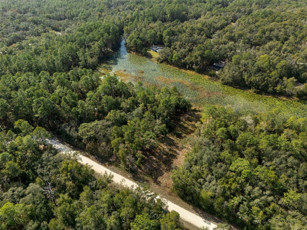 0 Alloy Street Webster FL 33597 W7881610 image14