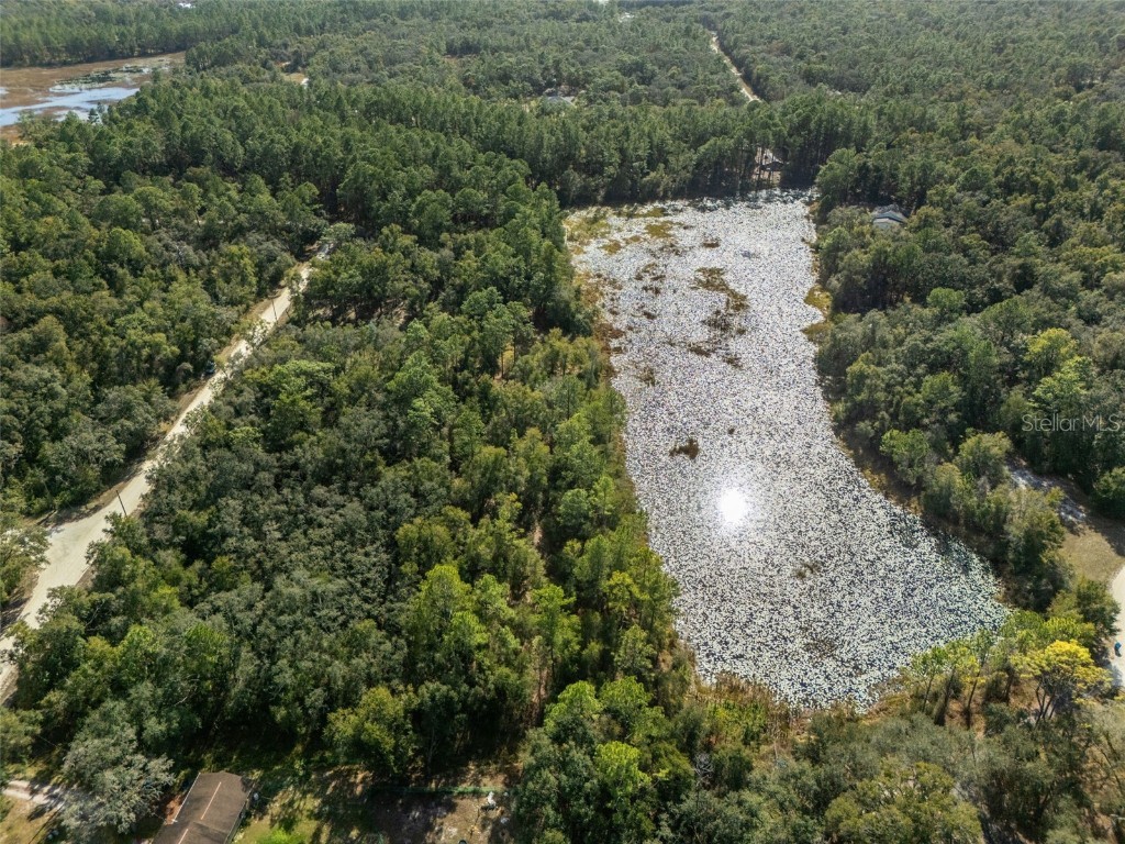 0 Alloy Street Webster FL 33597 W7881610 image15