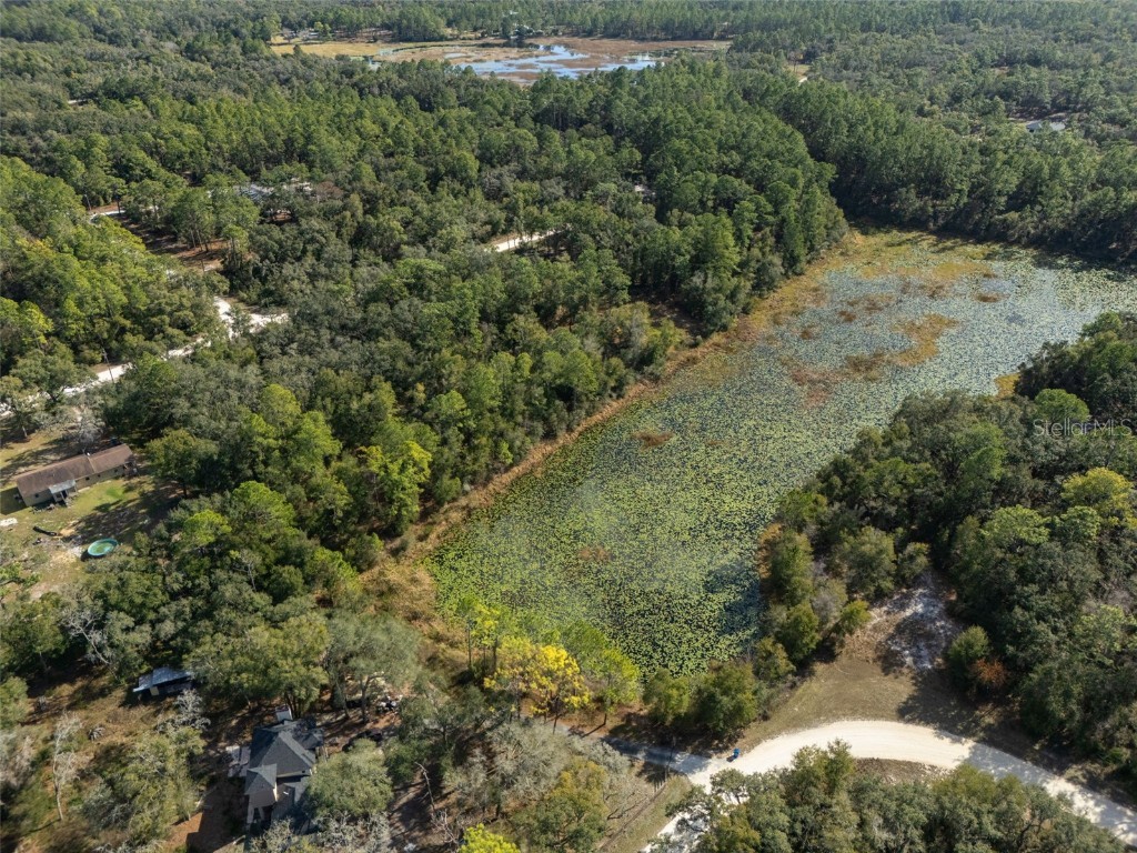 0 Alloy Street Webster FL 33597 W7881610 image16