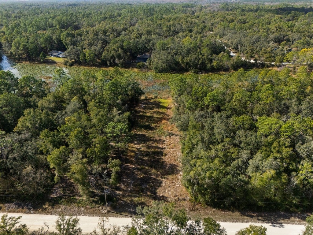 0 Alloy Street Webster FL 33597 W7881610 image2