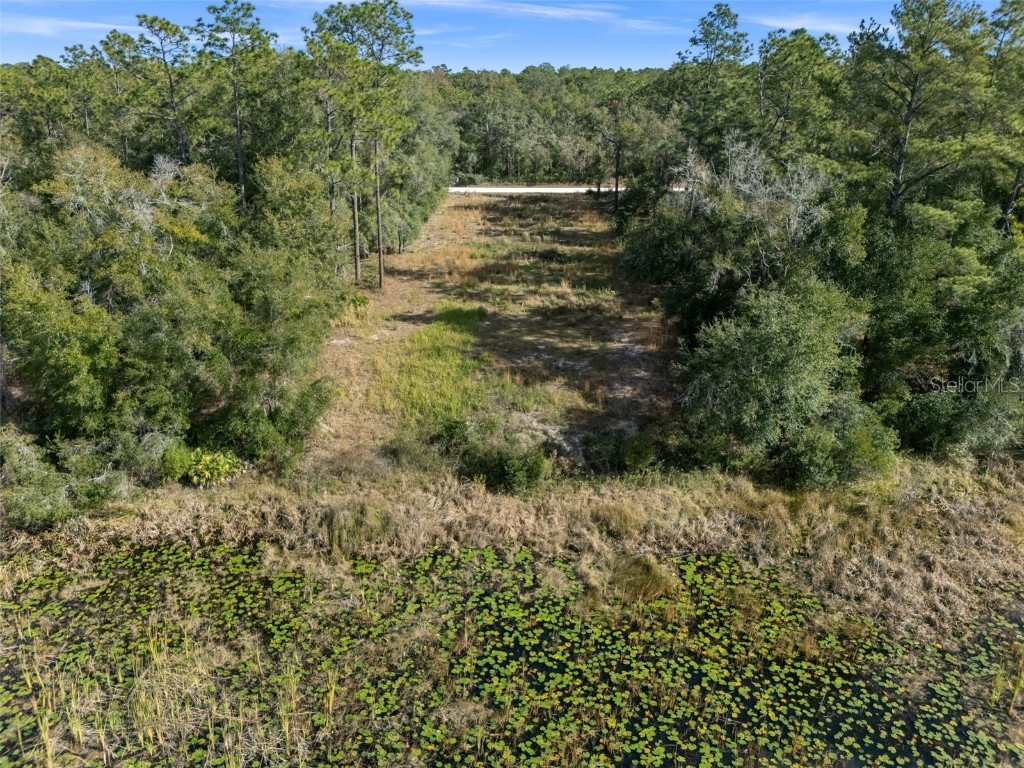 0 Alloy Street Webster FL 33597 W7881610 image20