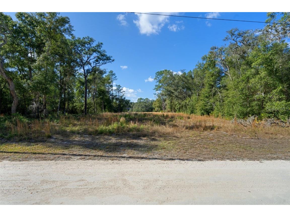 0 Alloy Street Webster FL 33597 W7881610 image23