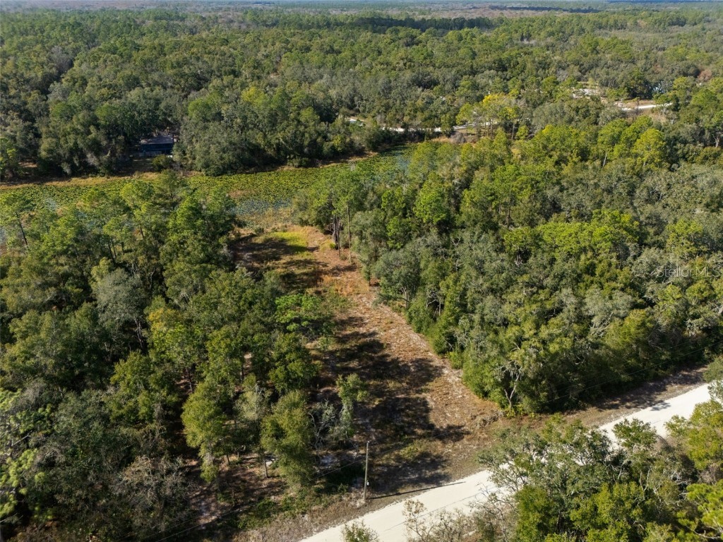 0 Alloy Street Webster FL 33597 W7881610 image3